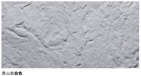 尊龙凯时·(中国游)官方网站